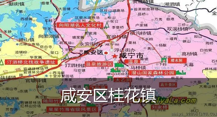 咸安区桂花镇