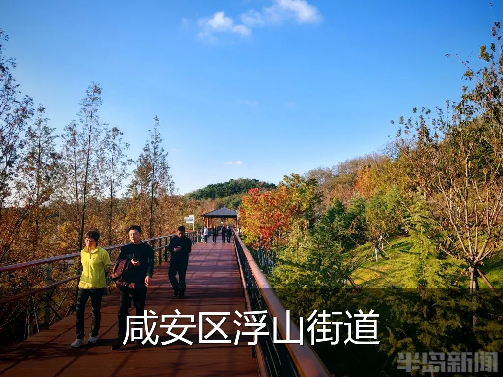 咸安区浮山街道