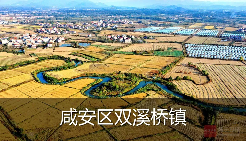 咸安区双溪桥镇