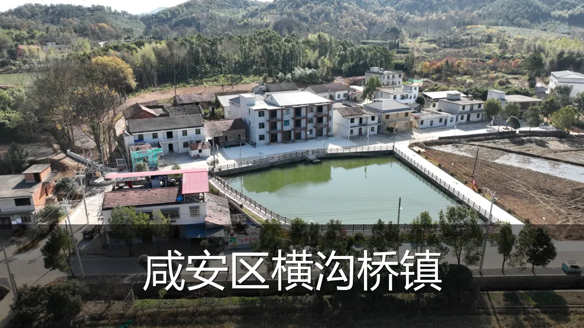 咸安区横沟桥镇