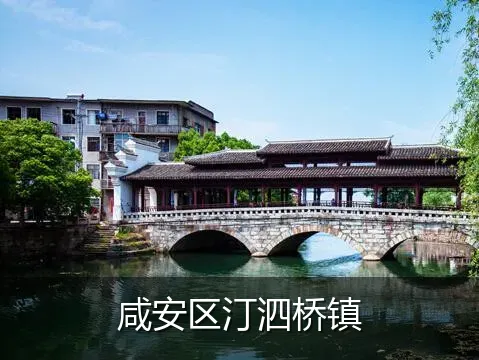 咸安区汀泗桥镇